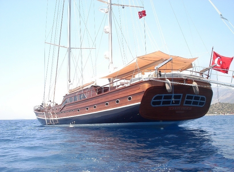 OCN365898