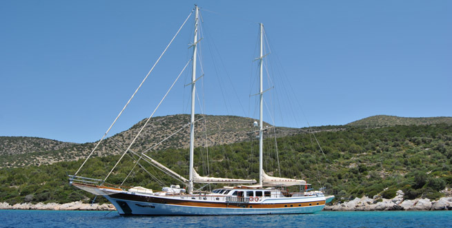 CANER IV