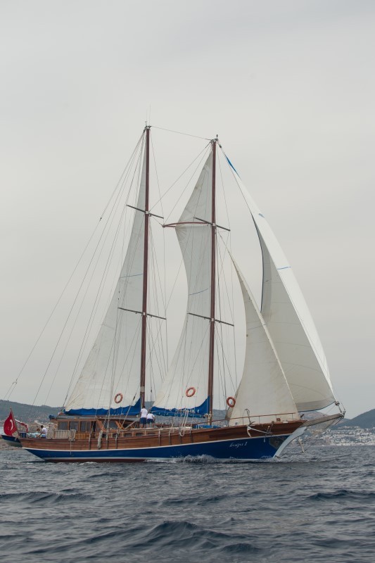 KUGU 1