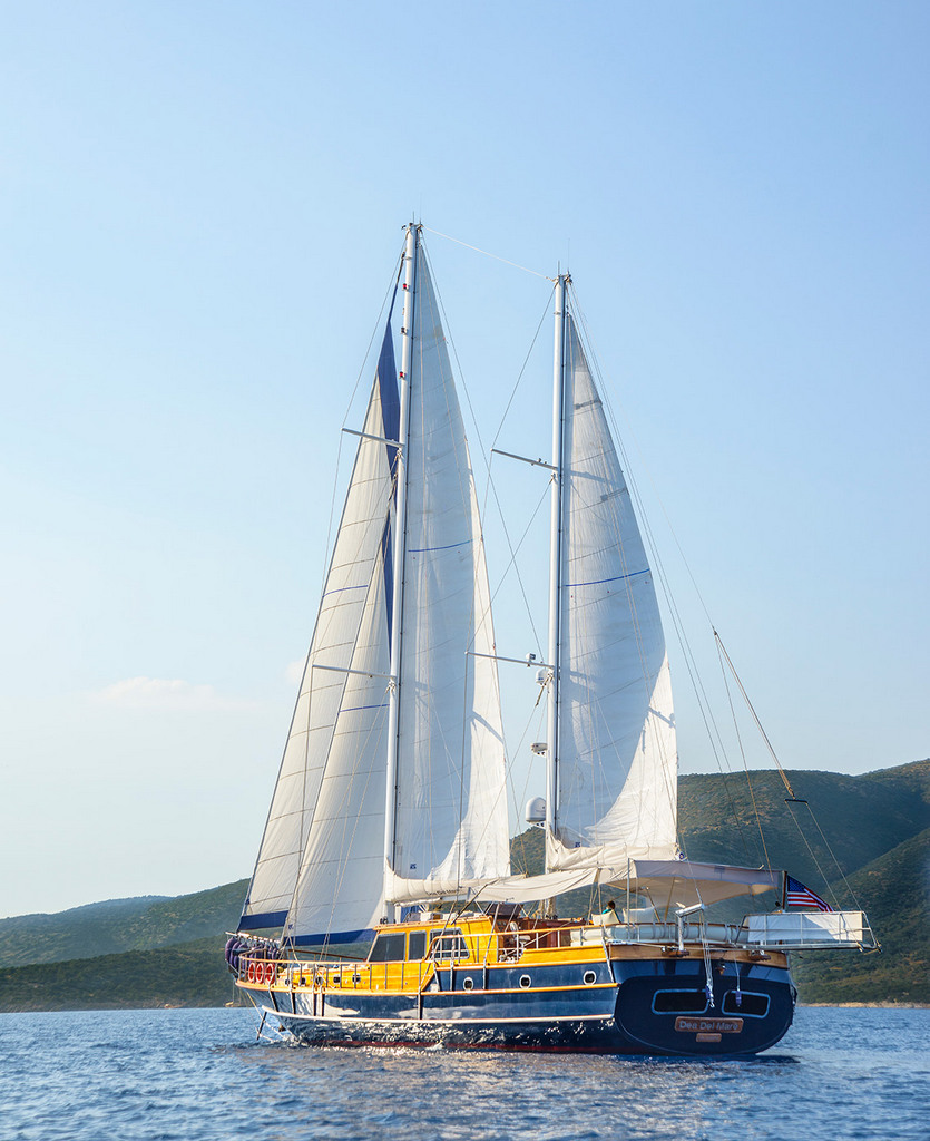 OCN439145