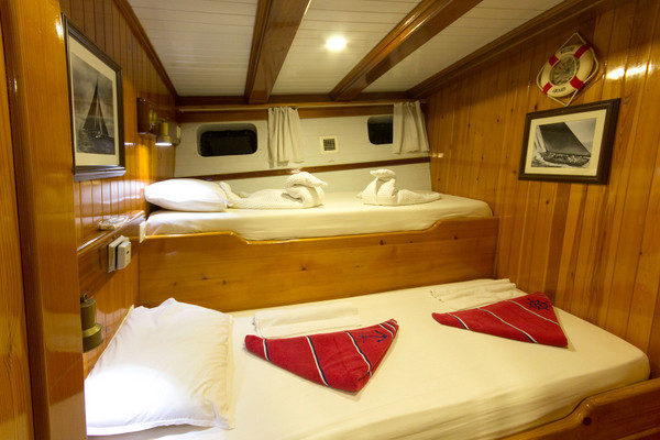 CEVRI HASAN V