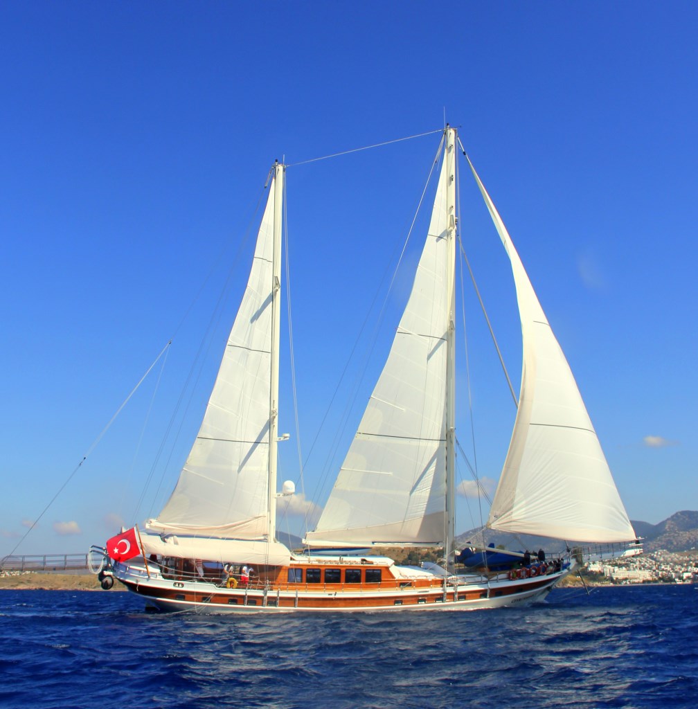 CEVRI HASAN V