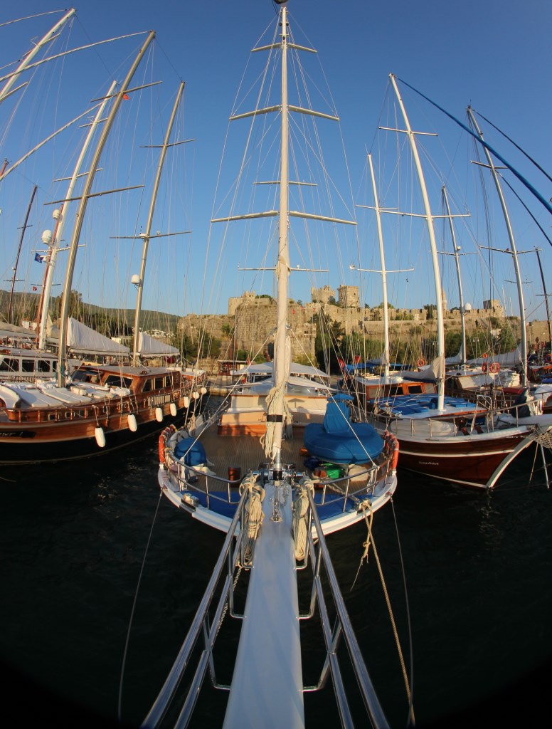 CEVRI HASAN V