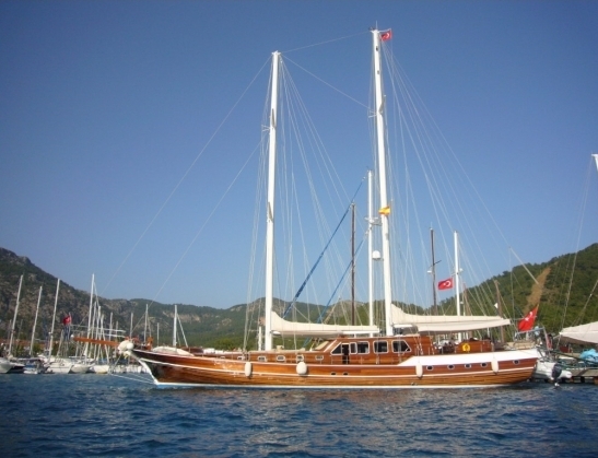 OCN065309