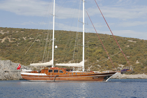 OCN224488