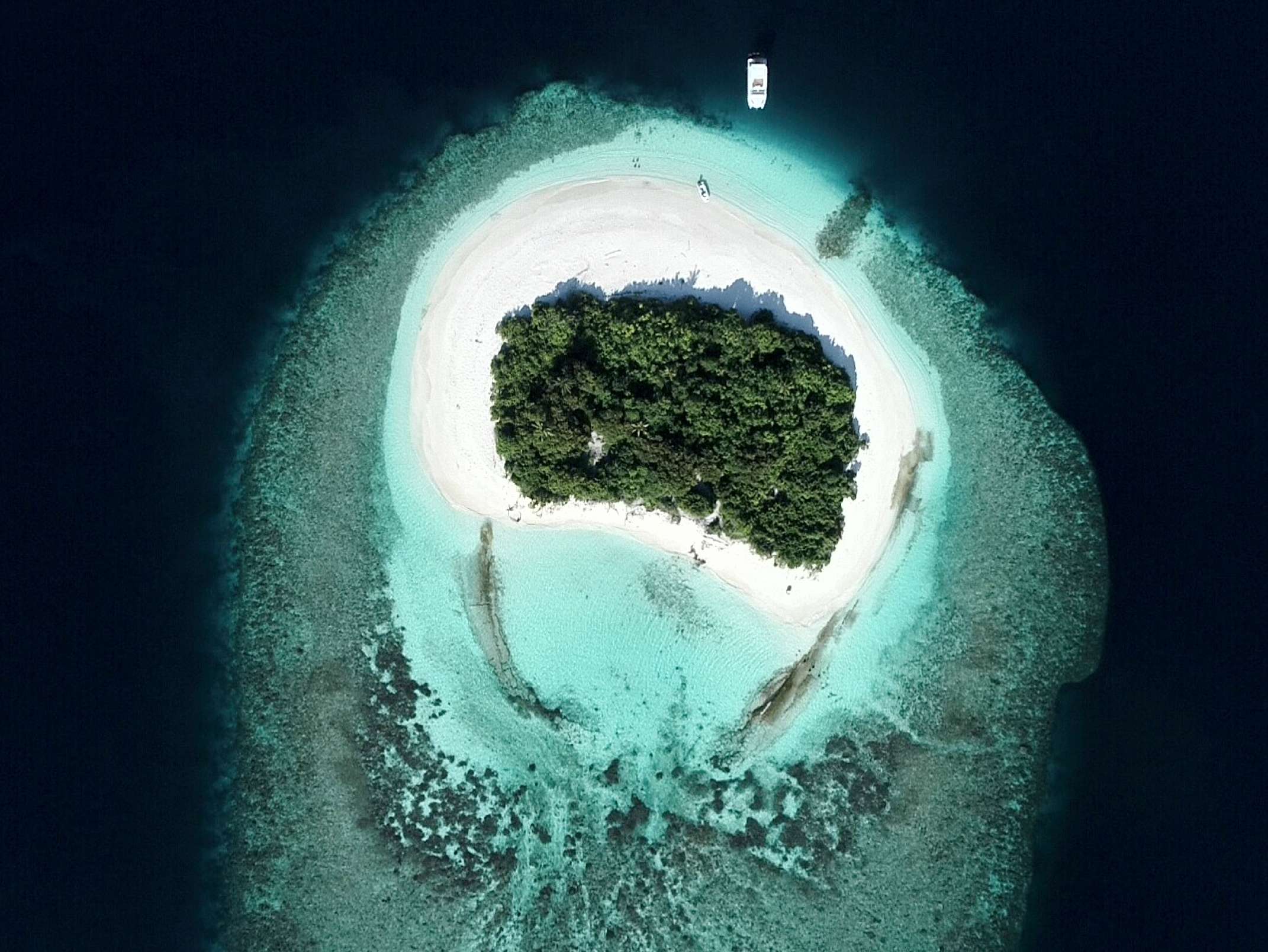 OVER REEF
