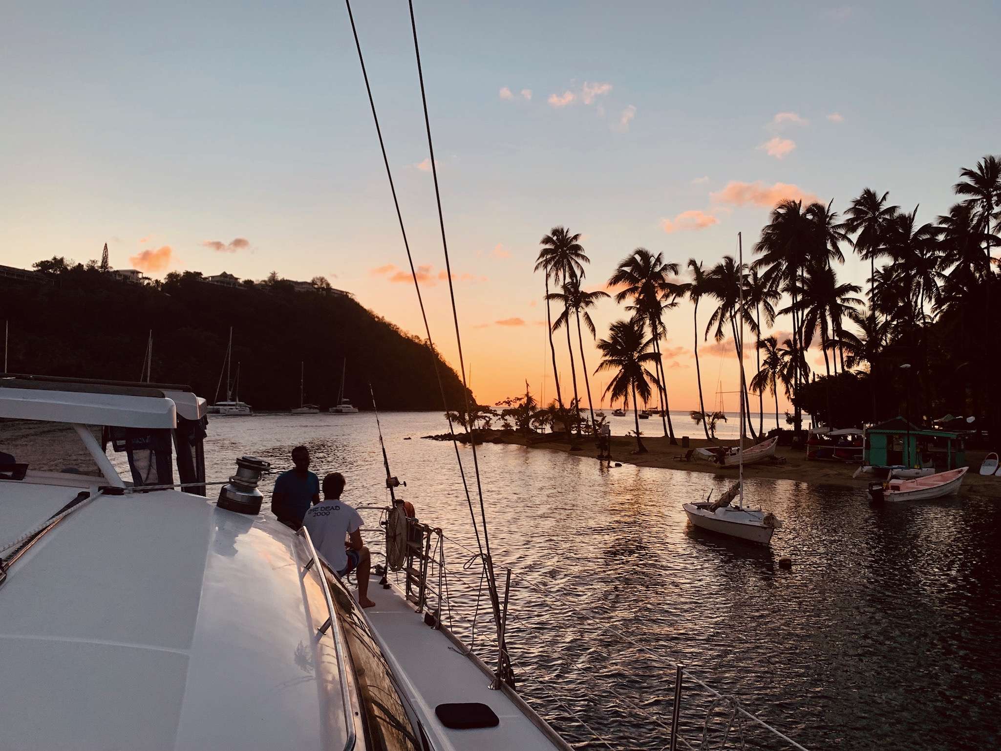 LADY MARIGOT