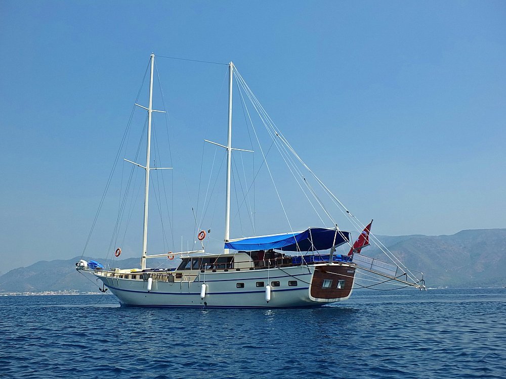 OCN454904