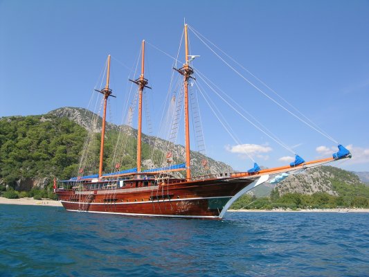 OCN020751