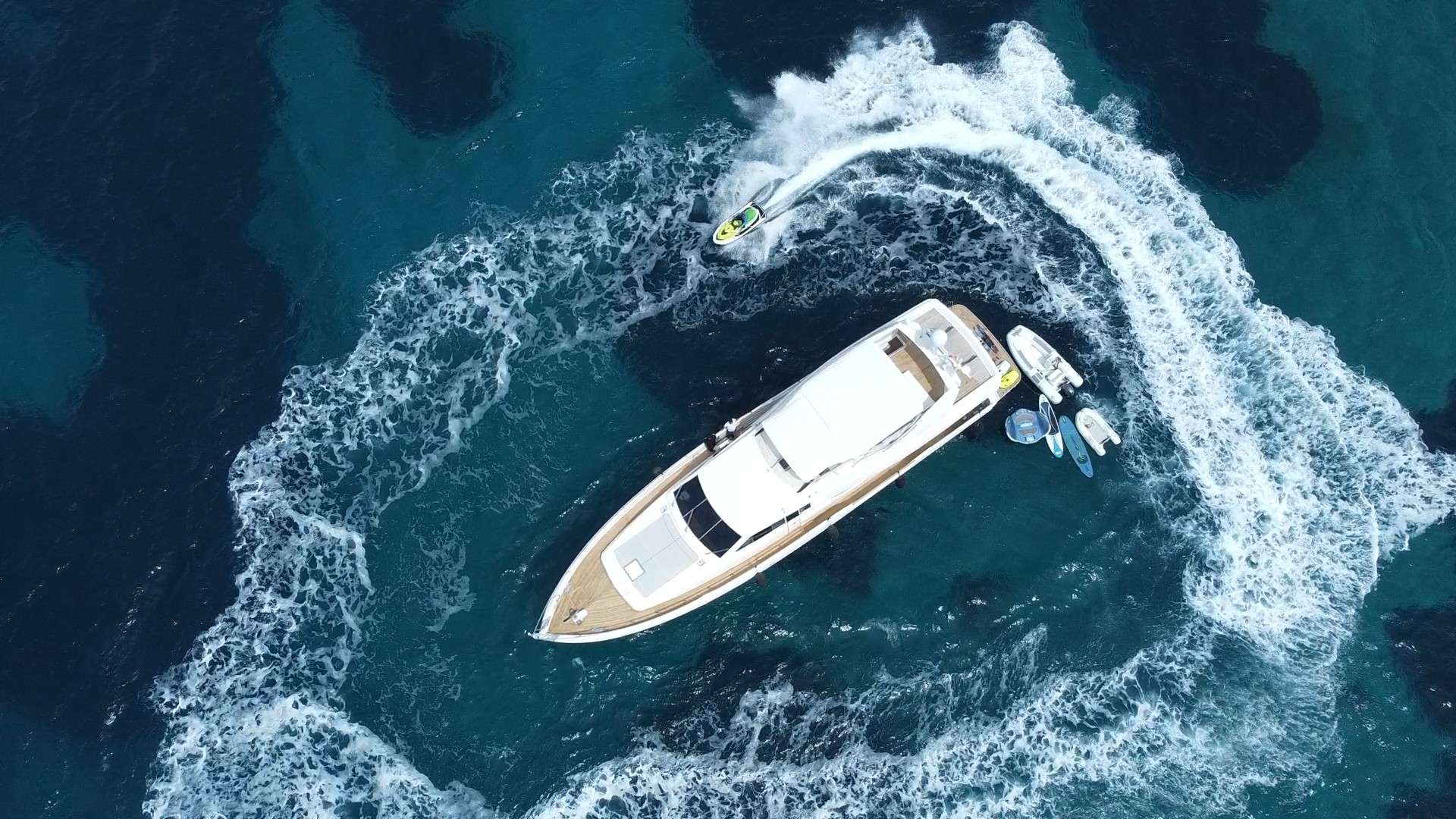 BELUGA