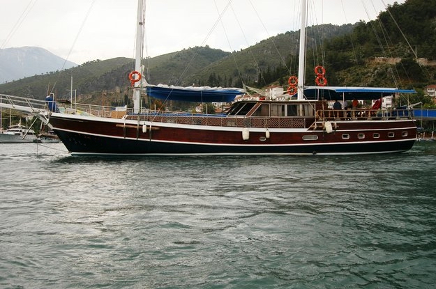 FLAS VII