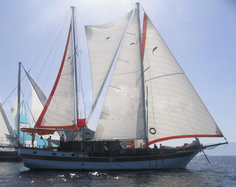 OCN843131